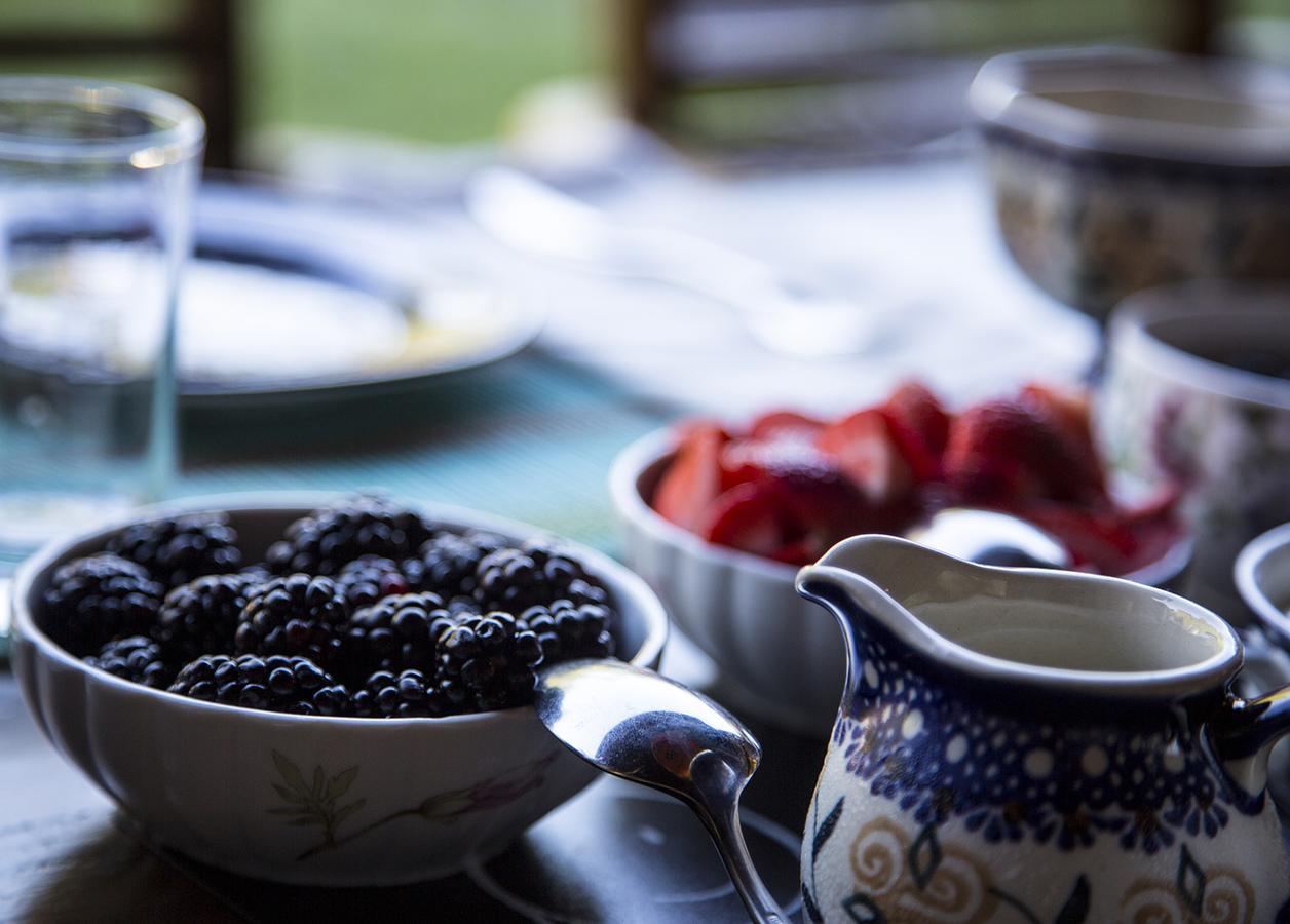 East Hampton Art House Bed And Breakfast Buitenkant foto